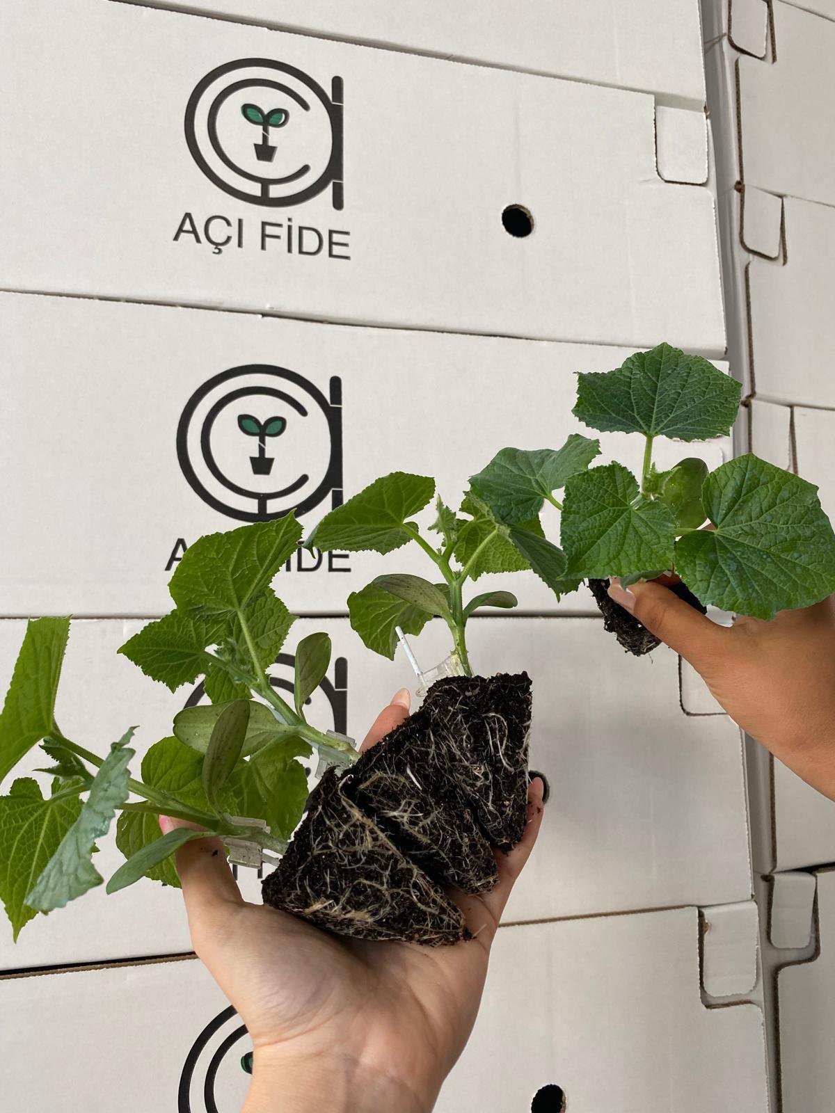 Müşteri Memnuniyeti ve Destek Hizmetleri